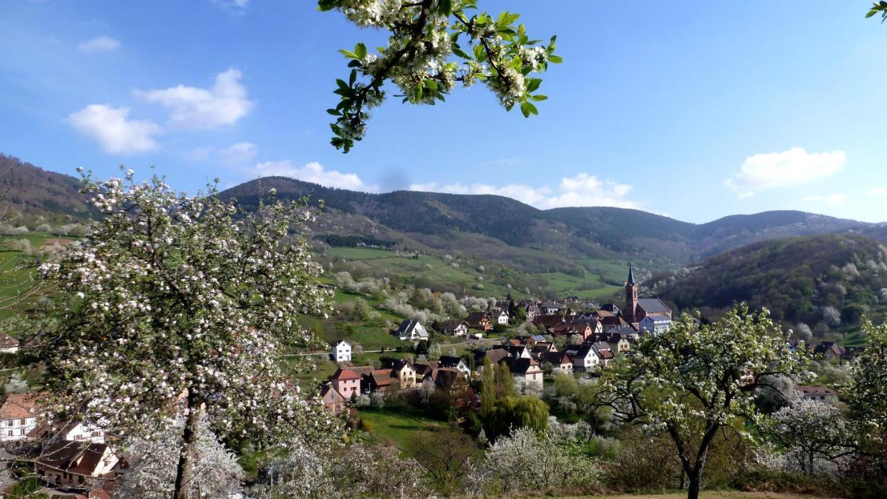 Les Gites La Cerisaie Breitenbach Esterno foto