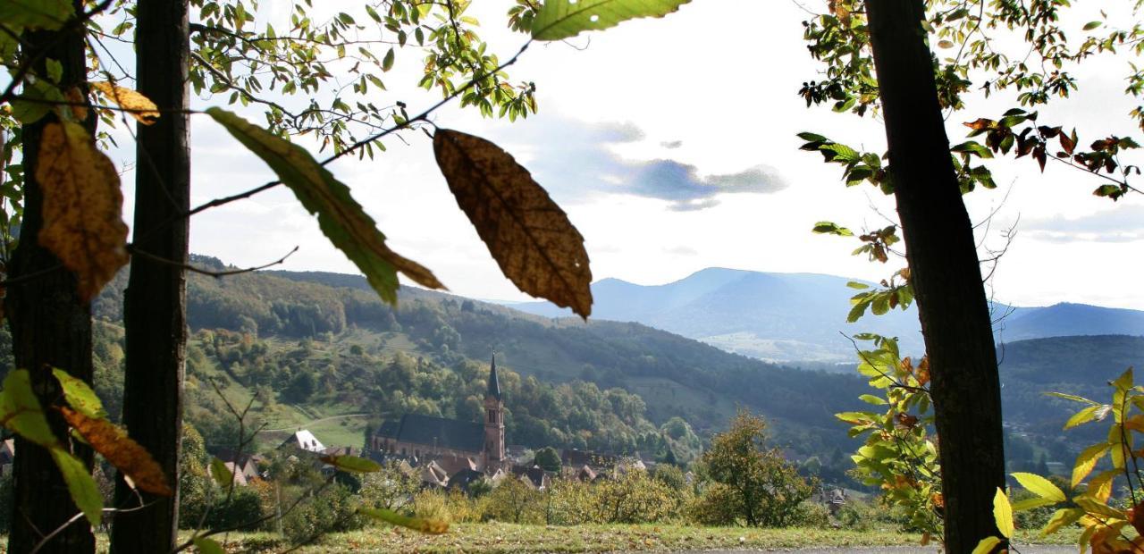 Les Gites La Cerisaie Breitenbach Esterno foto